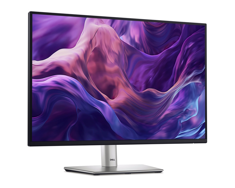 24 inch P2425E 100Hz USB-C Professional IPS monitor 